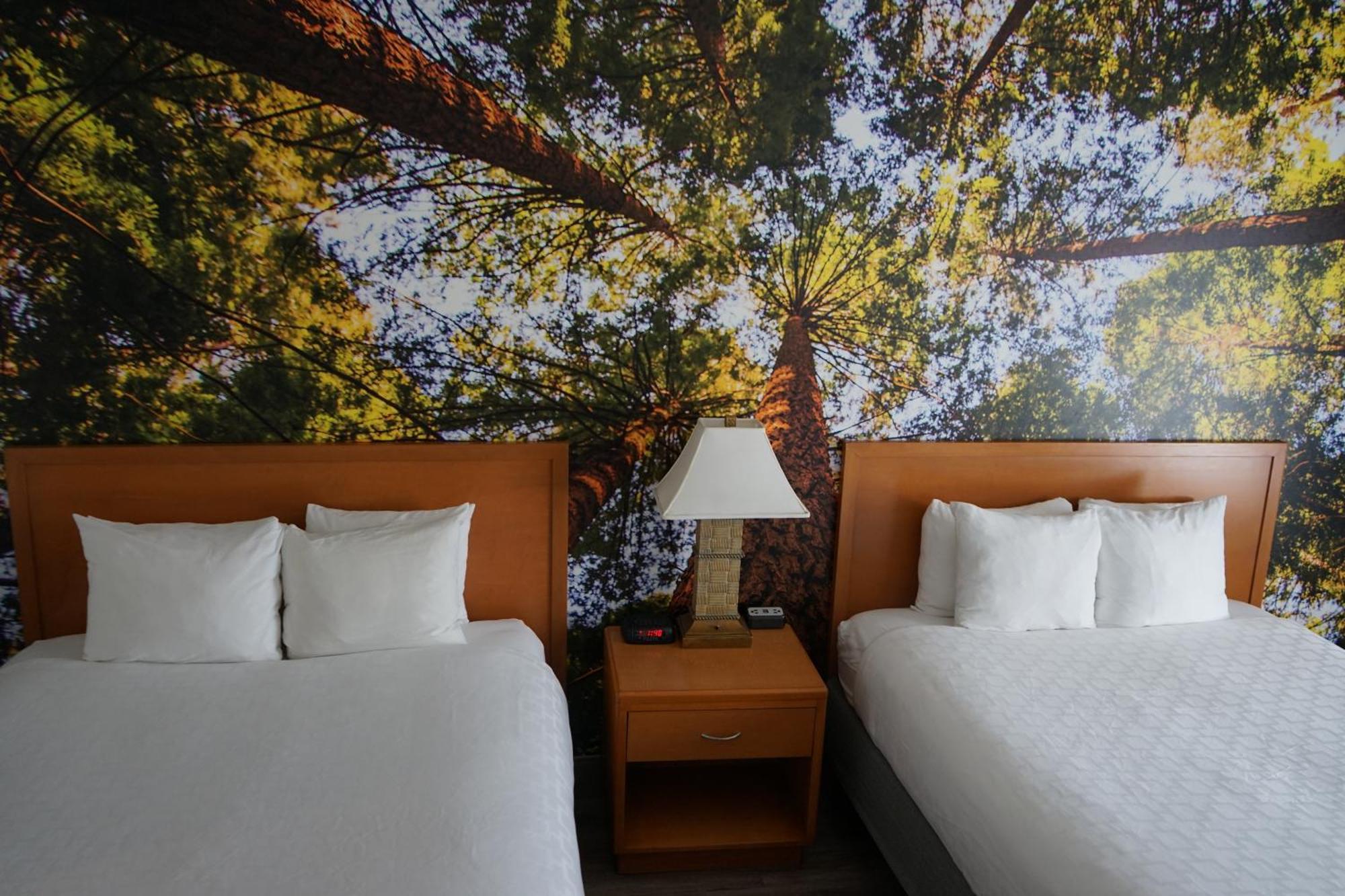 Comfort Inn Hanford Lemoore Exterior photo